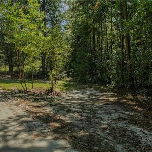 Photo #11 of 120 Lindsey, Eagle Springs, NC 24.8 acres