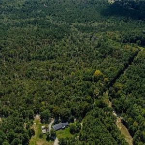 Photo #7 of 120 Lindsey, Eagle Springs, NC 24.8 acres