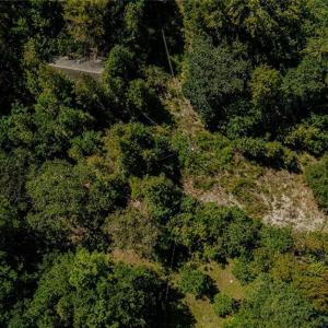 Photo #8 of 120 Lindsey, Eagle Springs, NC 24.8 acres