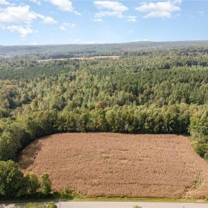 Photo #2 of Carl Allred, Franklinville, NC 23.4 acres