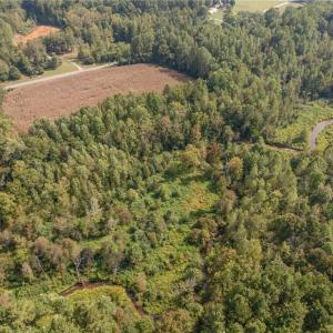 Photo #12 of Carl Allred, Franklinville, NC 23.4 acres