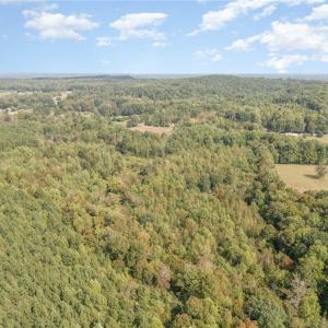 Photo #9 of Carl Allred, Franklinville, NC 23.4 acres