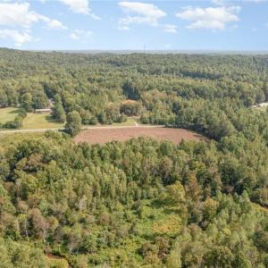 Photo #10 of Carl Allred, Franklinville, NC 23.4 acres
