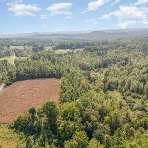 Photo #11 of Carl Allred, Franklinville, NC 23.4 acres
