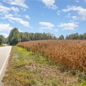 Photo #4 of Carl Allred, Franklinville, NC 23.4 acres