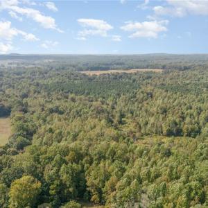 Photo #8 of Carl Allred, Franklinville, NC 23.4 acres