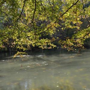Photo #23 of NC Highway 14, Eden, NC 31.7 acres