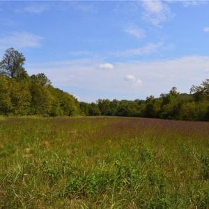 Photo #27 of NC Highway 14, Eden, NC 31.7 acres