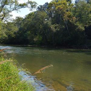 Photo #17 of NC Highway 14, Eden, NC 31.7 acres