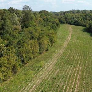 Photo #12 of NC Highway 14, Eden, NC 31.7 acres
