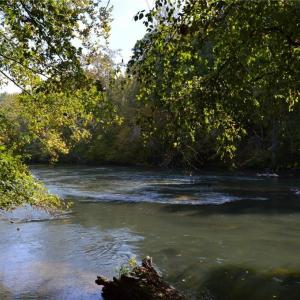 Photo #22 of NC Highway 14, Eden, NC 31.7 acres