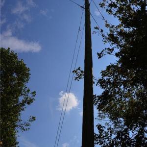 Photo #28 of NC Highway 14, Eden, NC 31.7 acres