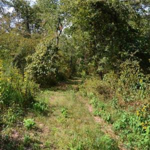Photo #20 of NC Highway 14, Eden, NC 31.7 acres