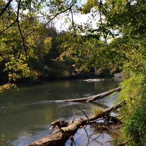 Photo #24 of NC Highway 14, Eden, NC 31.7 acres
