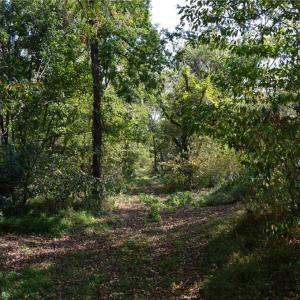 Photo #18 of NC Highway 14, Eden, NC 31.7 acres