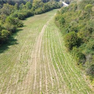 Photo #11 of NC Highway 14, Eden, NC 31.7 acres
