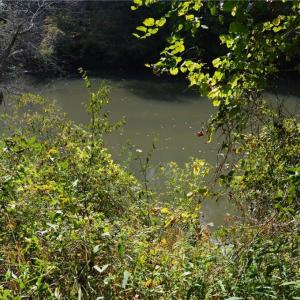 Photo #19 of NC Highway 14, Eden, NC 31.7 acres