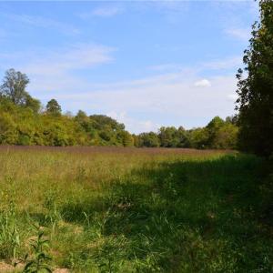 Photo #25 of NC Highway 14, Eden, NC 31.7 acres