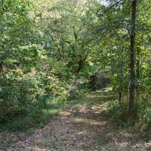 Photo #21 of NC Highway 14, Eden, NC 31.7 acres