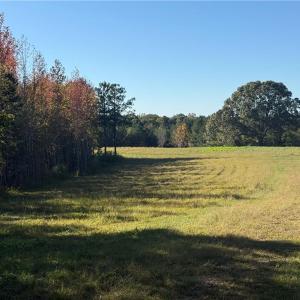 Photo #2 of Lot 11 Park Springs, Providence, NC 16.9 acres