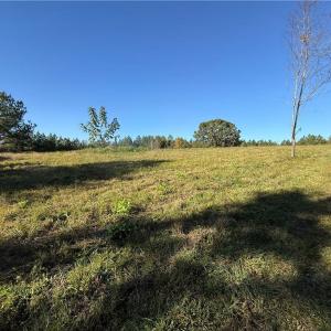 Photo #7 of Lot 11 Park Springs, Providence, NC 16.9 acres