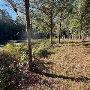 Photo #9 of Lot 11 Park Springs, Providence, NC 16.9 acres