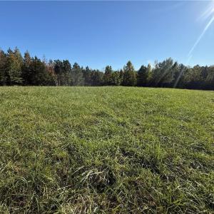 Photo #4 of Lot 11 Park Springs, Providence, NC 16.9 acres