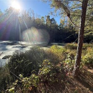 Photo #8 of Lot 11 Park Springs, Providence, NC 16.9 acres