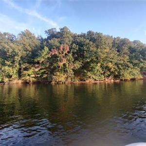 Photo #1 of 190 Point View, Denton, NC 1.2 acres