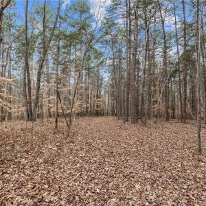 Photo #13 of 8729 A Allison, Cedar Grove, NC 12.7 acres