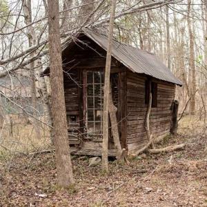 Photo #22 of 8729 A Allison, Cedar Grove, NC 12.7 acres