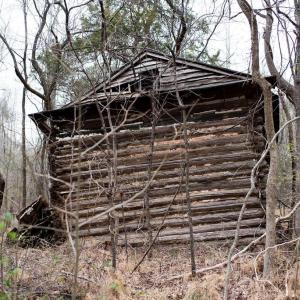 Photo #20 of 8729 A Allison, Cedar Grove, NC 12.7 acres