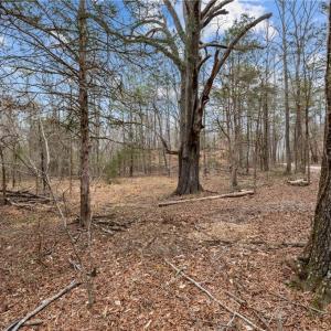 Photo #9 of 8729 A Allison, Cedar Grove, NC 12.7 acres