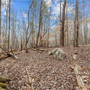 Photo #16 of 8729 A Allison, Cedar Grove, NC 12.7 acres