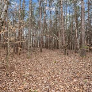 Photo #12 of 8729 A Allison, Cedar Grove, NC 12.7 acres