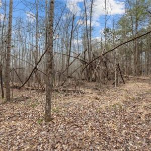 Photo #14 of 8729 A Allison, Cedar Grove, NC 12.7 acres