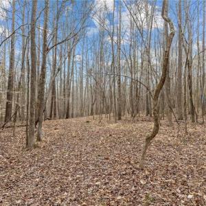 Photo #15 of 8729 A Allison, Cedar Grove, NC 12.7 acres