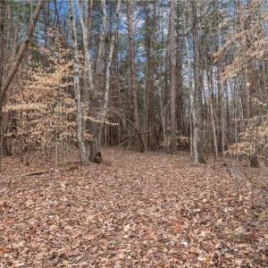 Photo #11 of 8729 A Allison, Cedar Grove, NC 12.7 acres