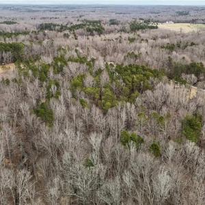 Photo #4 of 8729 A Allison, Cedar Grove, NC 12.7 acres