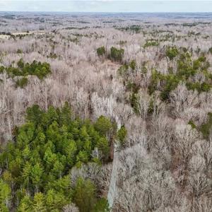 Photo #7 of 8729 B Allison, Cedar Grove, NC 12.9 acres