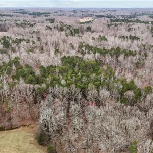 Photo #7 of 8729 B Allison, Cedar Grove, NC 12.9 acres