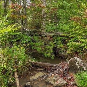 Photo #5 of Old Courthouse, Sophia, NC 38.8 acres