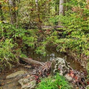 Photo #15 of Old Courthouse, Sophia, NC 38.8 acres