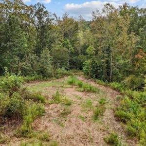 Photo #11 of Old Courthouse, Sophia, NC 38.8 acres