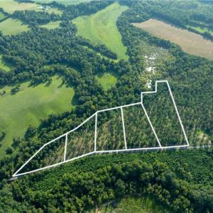 Photo #22 of 6 Carson, Cleveland, NC 5.0 acres