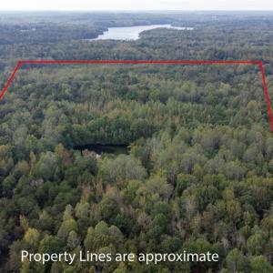 Photo #5 of Speedway, Reidsville, NC 32.5 acres