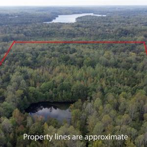 Photo #4 of Speedway, Reidsville, NC 32.5 acres