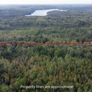 Photo #7 of Speedway, Reidsville, NC 32.5 acres