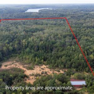 Photo #4 of Speedway, Reidsville, NC 32.5 acres