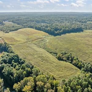 Photo #15 of 9135 US Highway 220, Randleman, NC 284.9 acres